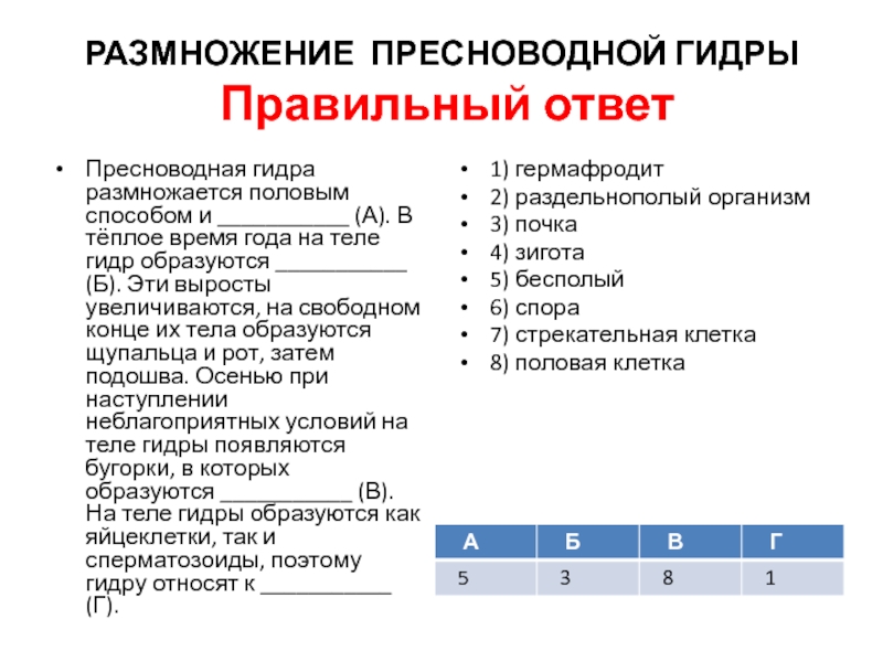 Рабочая ссылка кракен в тор